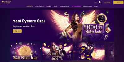 Aperçu du site Discount